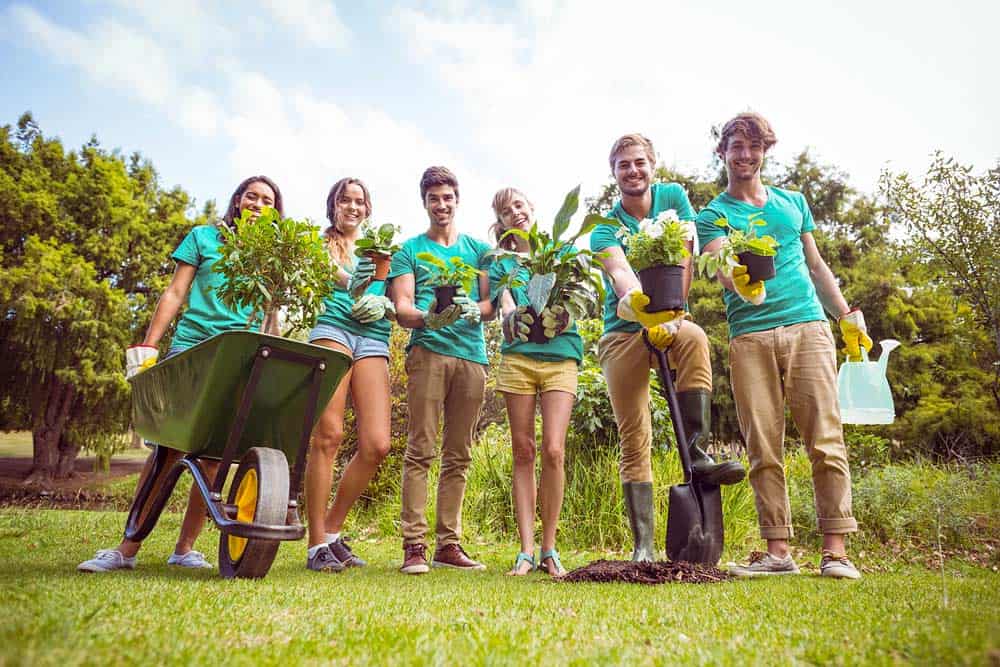 Gartenteam (depositphotos.com)