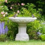 Stilvolle Vogeltränken aus Naturstein für mehr Gartenidylle