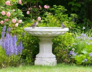Mehr über den Artikel erfahren Stilvolle Vogeltränken aus Naturstein für mehr Gartenidylle
