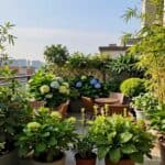 Sichtschutz mit Pflanzen auf der Terrasse – welche Arten wirklich dicht werden